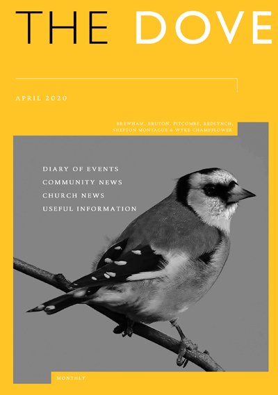 The Dove is available online