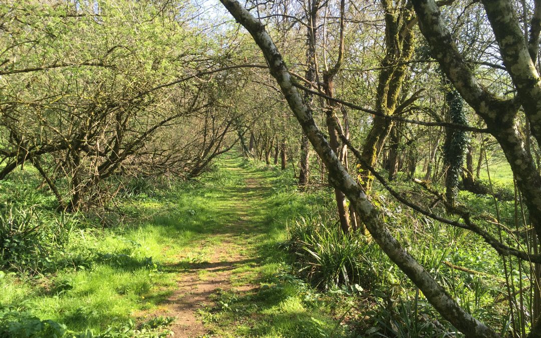 Gorgeous Bruton countryside
