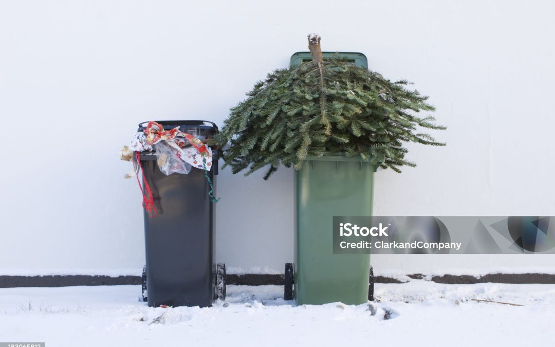 Christmas Rubbish and Recycling collections 2024