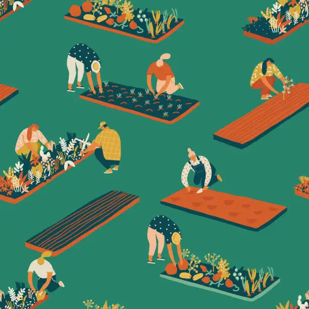 Would you like an allotment in Bruton?
