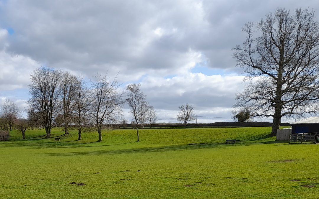 Planned tree work at Jubilee Park