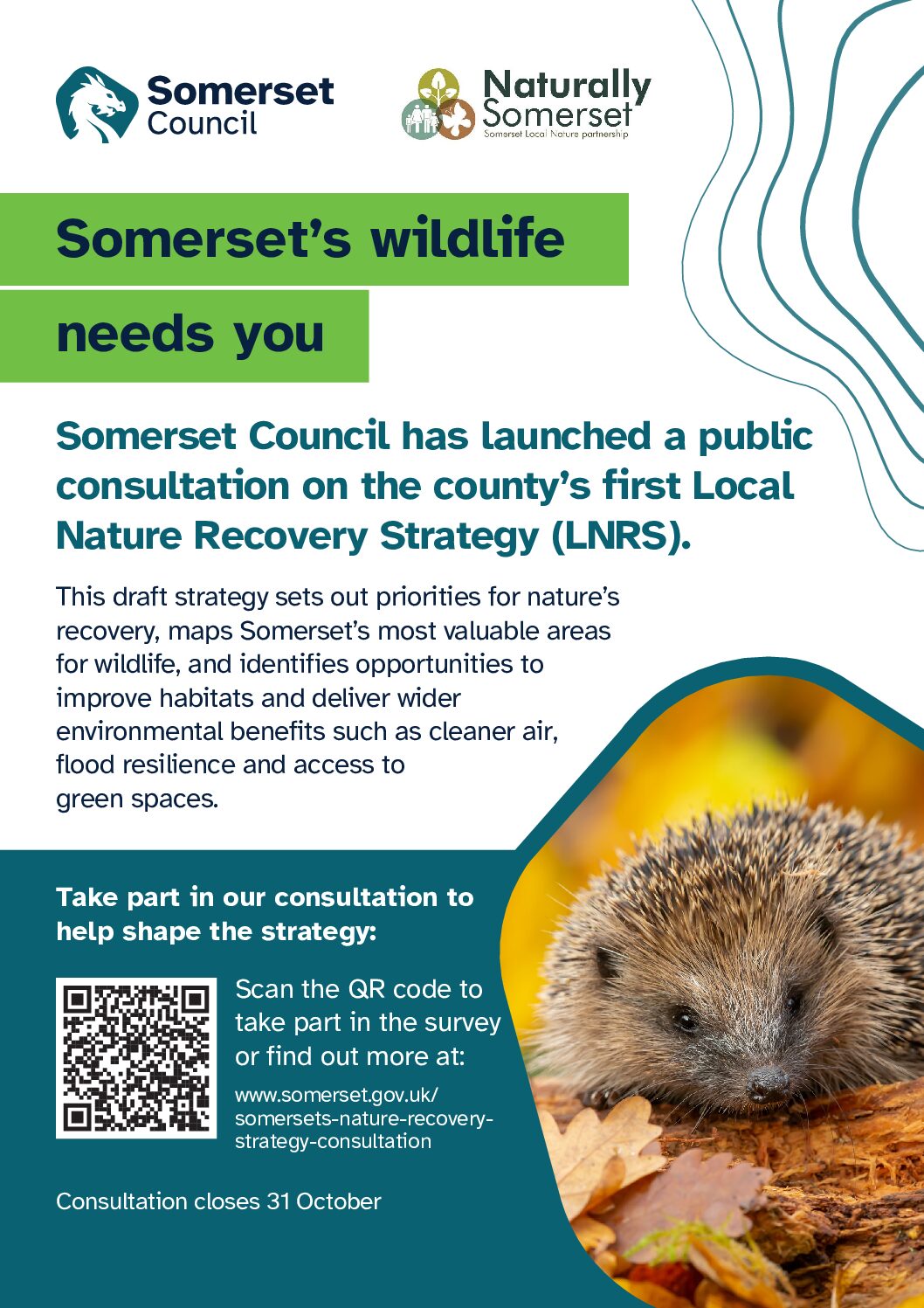 Somerset Council; Somerset’s wildlife needs you